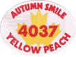 Peach<br>Yellow Small West