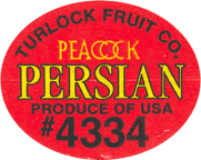 Melon Persian