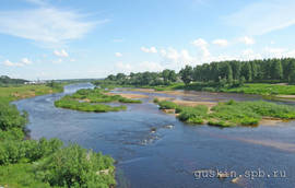 River Vel.