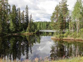 Letnyaya river, Kem region.